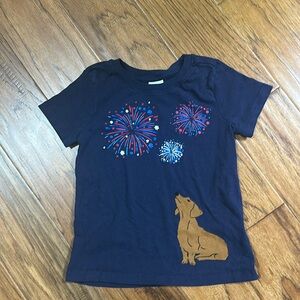 EUC Hanna Andersson T-Shirt Size 5